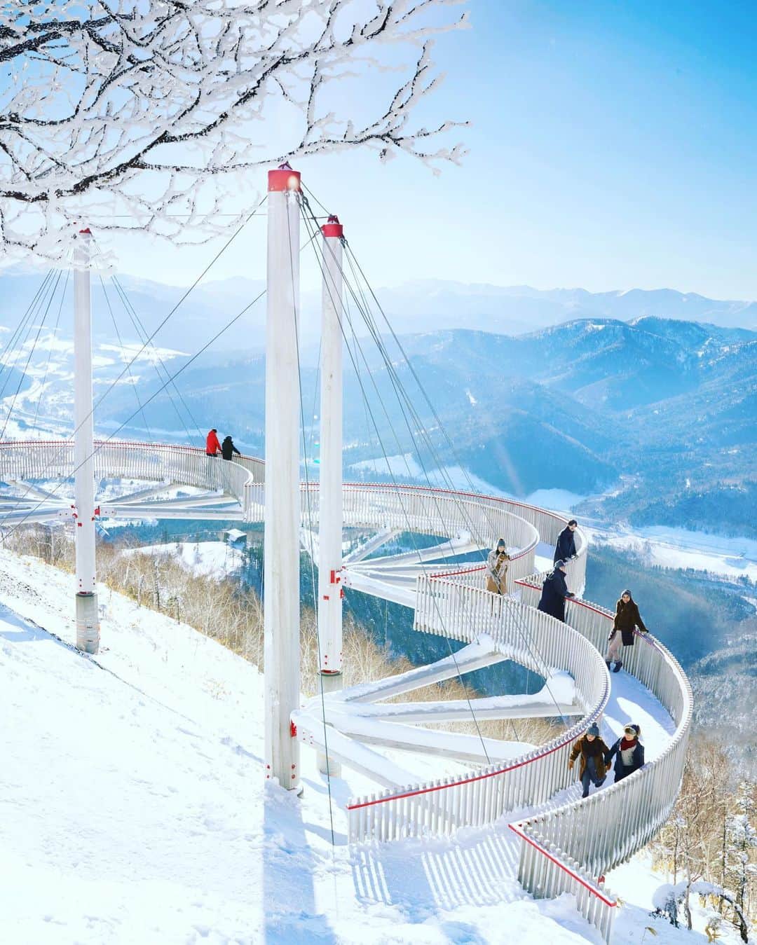 Vogue Taiwan Officialさんのインスタグラム写真 - (Vogue Taiwan OfficialInstagram)「#VogueTravel﻿ ﻿ 冬季出國滑雪風潮日盛，越來越多人在年末年初與好友結伴或全家大小同行出征北國，日本、韓國都是國人偏好的滑雪盛地。﻿ ﻿ 日本北海道規模最大的滑雪度假村「星野TOMAMU度假村」，將於2019年12月1日至2020年4月5日，開放位於TOMAMU山上海拔1,088公尺處的「霧冰平台」，讓旅客在度假村中就能盡情享受由霧冰打造出的雪山絕景。﻿ ﻿ 霧冰是在零下約2至10度時，空氣中的水氣或霧附著在樹木上所形成的自然現象。﻿ ﻿ 「霧冰平台」共有兩種設施，「Cloud Walk」突出於山坡之外，雲朵形狀般的空中走廊，帶來置身雲端的快感。﻿ ﻿ 「Cloud Bar」位在霧冰平台延伸至相連的山坡斜面上，仿照吧台概念設計以及單、雙人座椅，每次最多可招待7位客人，供應呼應TOMAMU美麗雪景的原創雞尾酒「雪之雞尾酒」，「霧冰熔岩巧克力蛋糕」及「霧冰咖啡」，伴隨腳下的霧冰綿延鋪展，有如坐在雲端上的特等席。﻿ ﻿ 2019年12月1日至25日，將舉辦限時夜間霧冰點燈活動，燈光照射下晶瑩剔透的霧冰美景只有在夜裡才能欣賞，旅客將飽覽與白天截然不同的絕美景致。﻿ ﻿ 星野TOMAMU度假村﻿ 📍地址：〒079-2204 北海道勇払郡占冠村字中トマム﻿ ﻿ #北海道旅行 #hokkaido #hokkaidotrip #滑雪#hoshinotomamuresort #silvia」11月9日 12時22分 - voguetaiwan