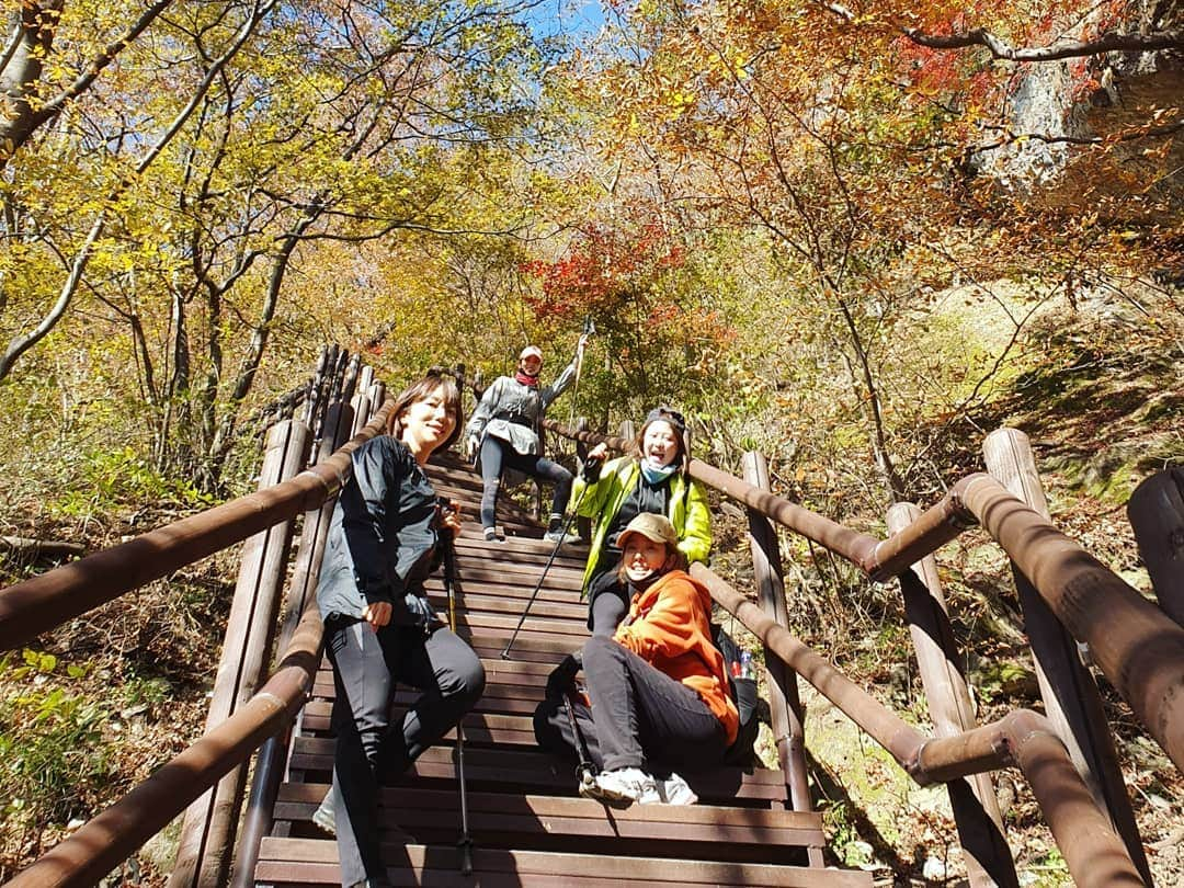 イ・シヨンさんのインスタグラム写真 - (イ・シヨンInstagram)「너무 너무 예뻤던 내장산곳곳🖼🌳🌿💚 사진으로 보니까 왤케 벌써 그리운거죠?ㅋㅋㅋㅋ」11月9日 12時29分 - leesiyoung38