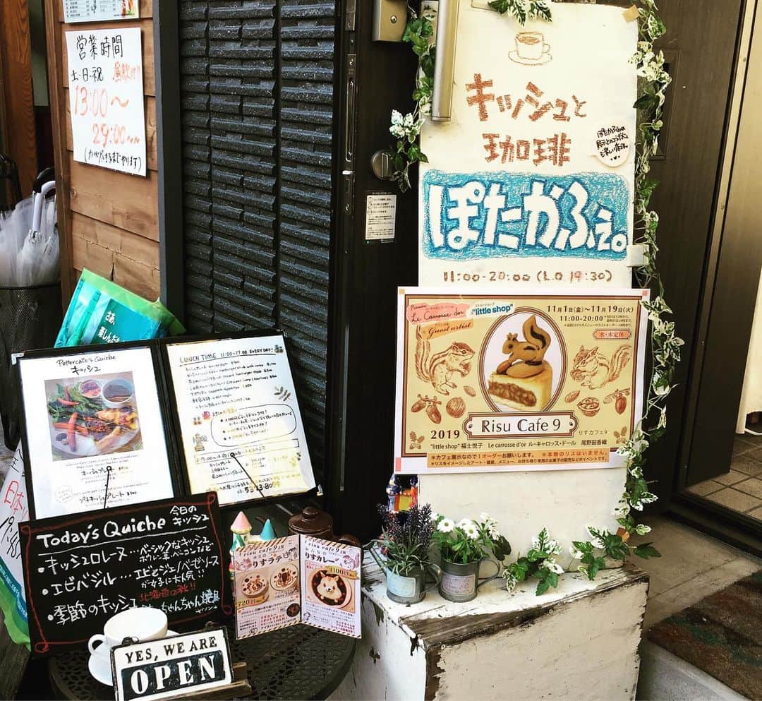 國本未華さんのインスタグラム写真 - (國本未華Instagram)「リスの世界地図を手に入れた⭐︎ 世界中のリスの生息地を眺められる。お部屋に飾りました。 北米のチビシマリスが気になる…！！ #りすカフェ #リス好き #リスグッズ #ぽたカフェ」11月9日 12時30分 - kunimoto_mika