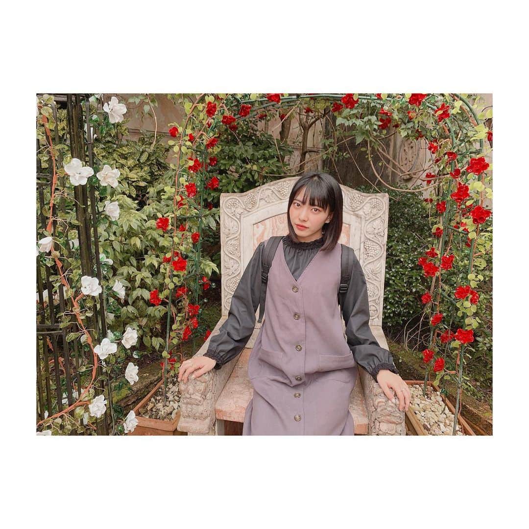徒然みおれさんのインスタグラム写真 - (徒然みおれInstagram)「ガラスの薔薇🥀 #箱根 #ガラスの森美術館  #photography」11月9日 12時34分 - mioretty