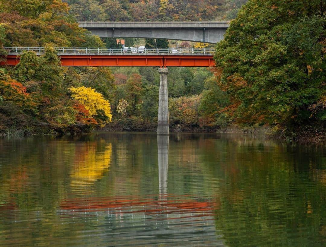 山人さんのインスタグラム写真 - (山人Instagram)「紅葉ハイライト③ 西和賀町湯田地域内の橋と紅葉 息を飲むような紅葉をお届けします。  #東北 #岩手県 #西和賀町 #湯川温泉 #山人 #yamado #ホテル #ホテルマン #山人スタッフが行く #a7ⅲ #stars #地元の良さ #北上線 #全室かけ流し温泉付き #ここにしかない魅力 #四季 #季節 #自然 #スタッフsh撮影 #秋 #autumn #紅葉 #錦秋湖 #銀河鉄道 #湯田ダム #陸橋 #鉄橋 #橋 #シリーズ紅葉 #第三弾」11月9日 12時48分 - yamado.official