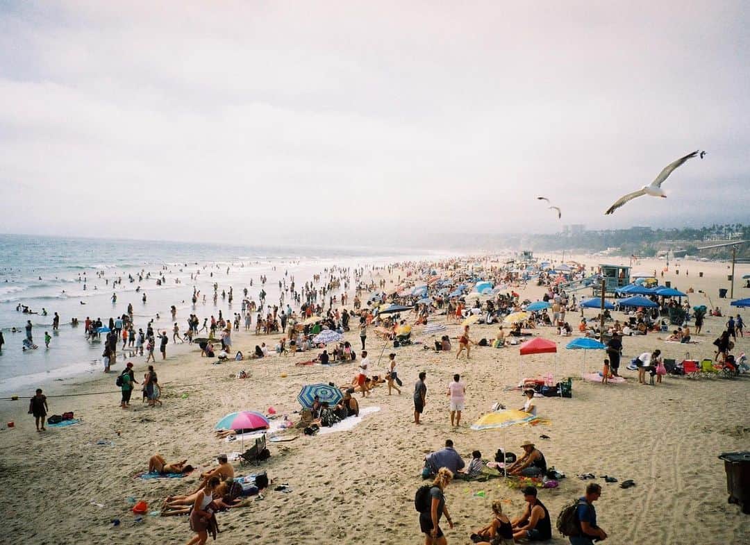 のインスタグラム：「夏の思い出⛱ #losangeles #contaxtvsiii」