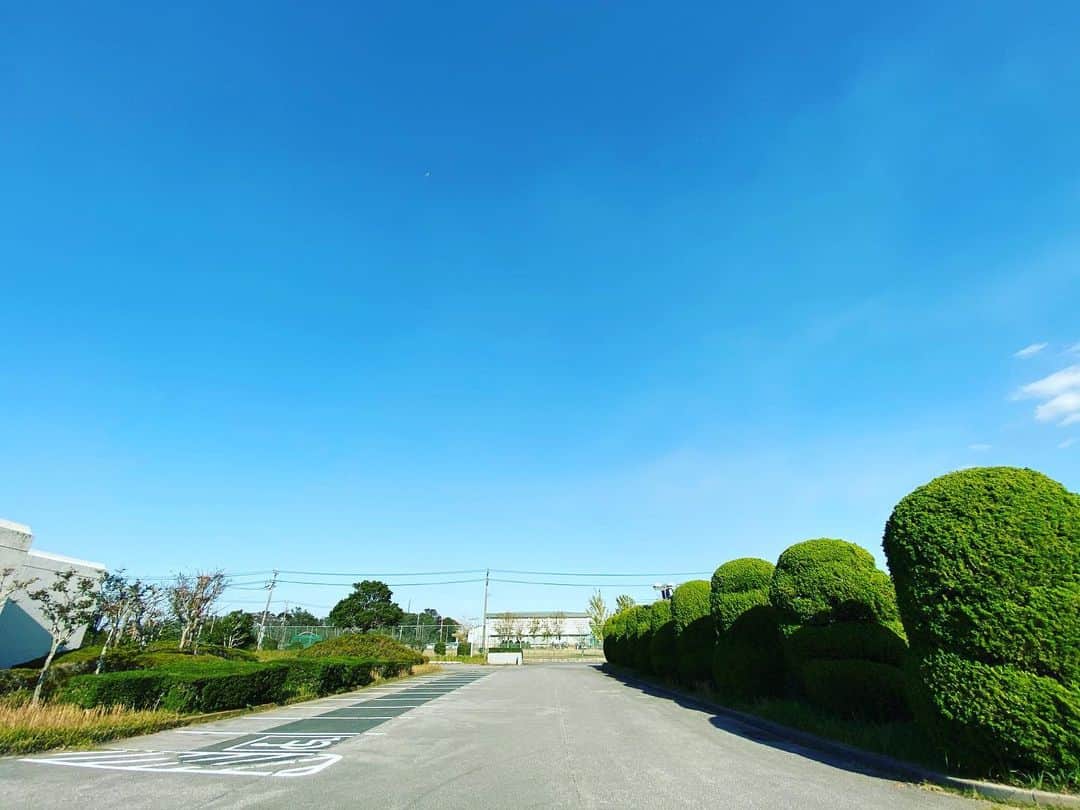 向山毅のインスタグラム：「いい天気☀️」