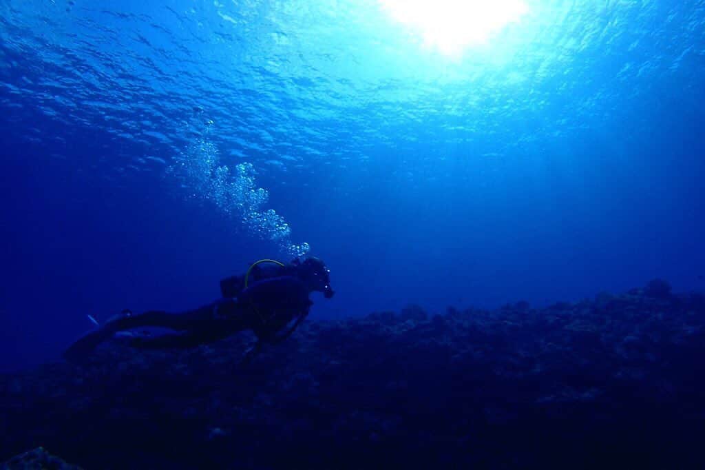 R!Nさんのインスタグラム写真 - (R!NInstagram)「Mermaid 📷 / Guide: あおいろクジラさん🐳  #与論島 #ヨロン #ヨロン島 #YORON #鹿児島 #離島 #海 #供利港 #あおいろクジラ #ダイビング #diving #初めてのダイビング #マーメイド #Mermaid #vacation #休日 #最高 #sea #ocean」11月9日 14時28分 - rin_gemie