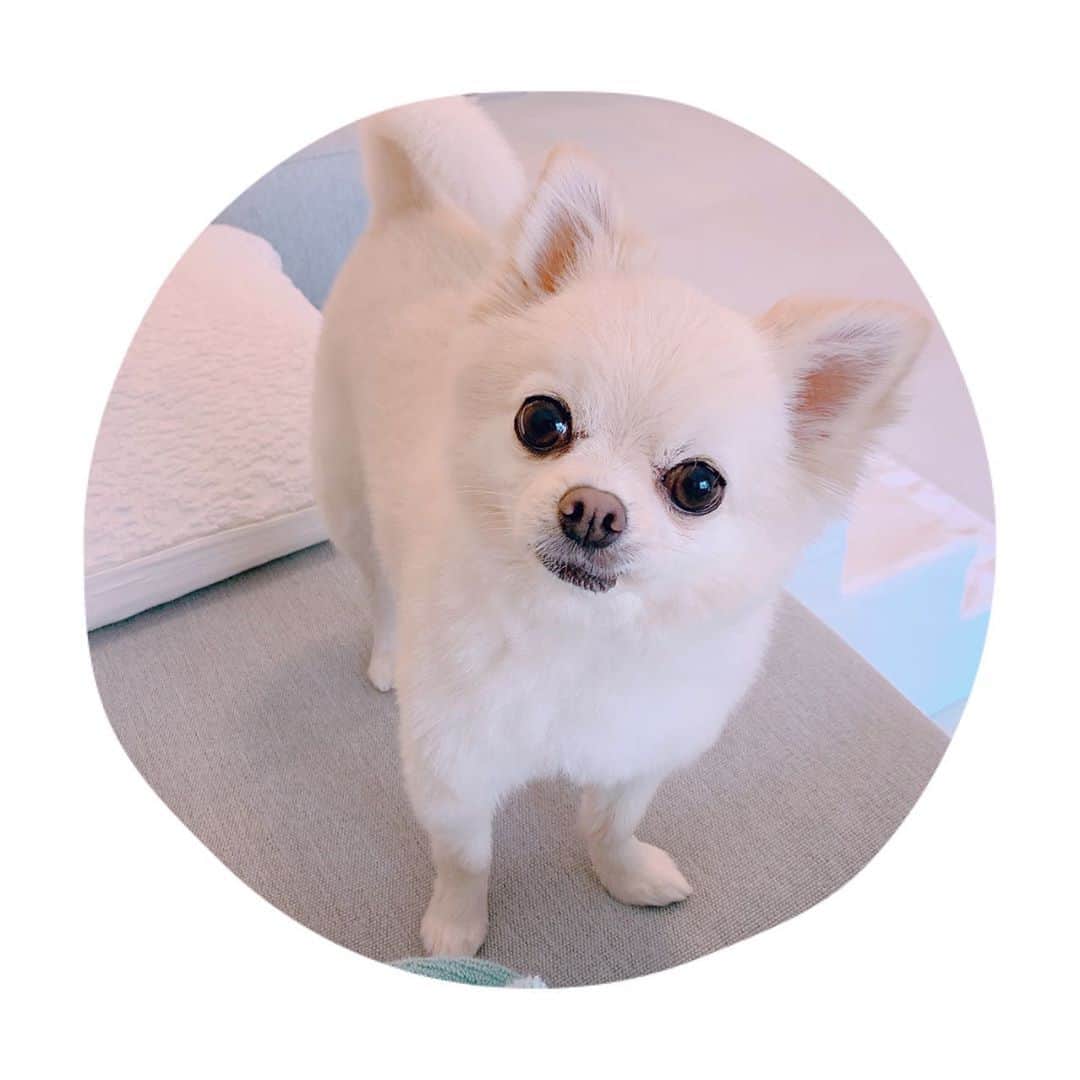井口裕香のインスタグラム