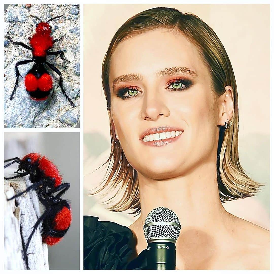 JO BAKERのインスタグラム：「M A C K E N Z I E • D A V I S 🇨🇦 Raven & Red  smoke out for #mackenziedavis inspired by this velvety bold contrast color combination from the #redvelvetant @terminator premiere.  Style @karlawelchstylist  Hair @jennychohair  Makeup by me #jobakermakeupartist using @chanel.beauty @welovecoco  Obsessed with this sheet grayish shadowy lip #deepness #rougeallure」