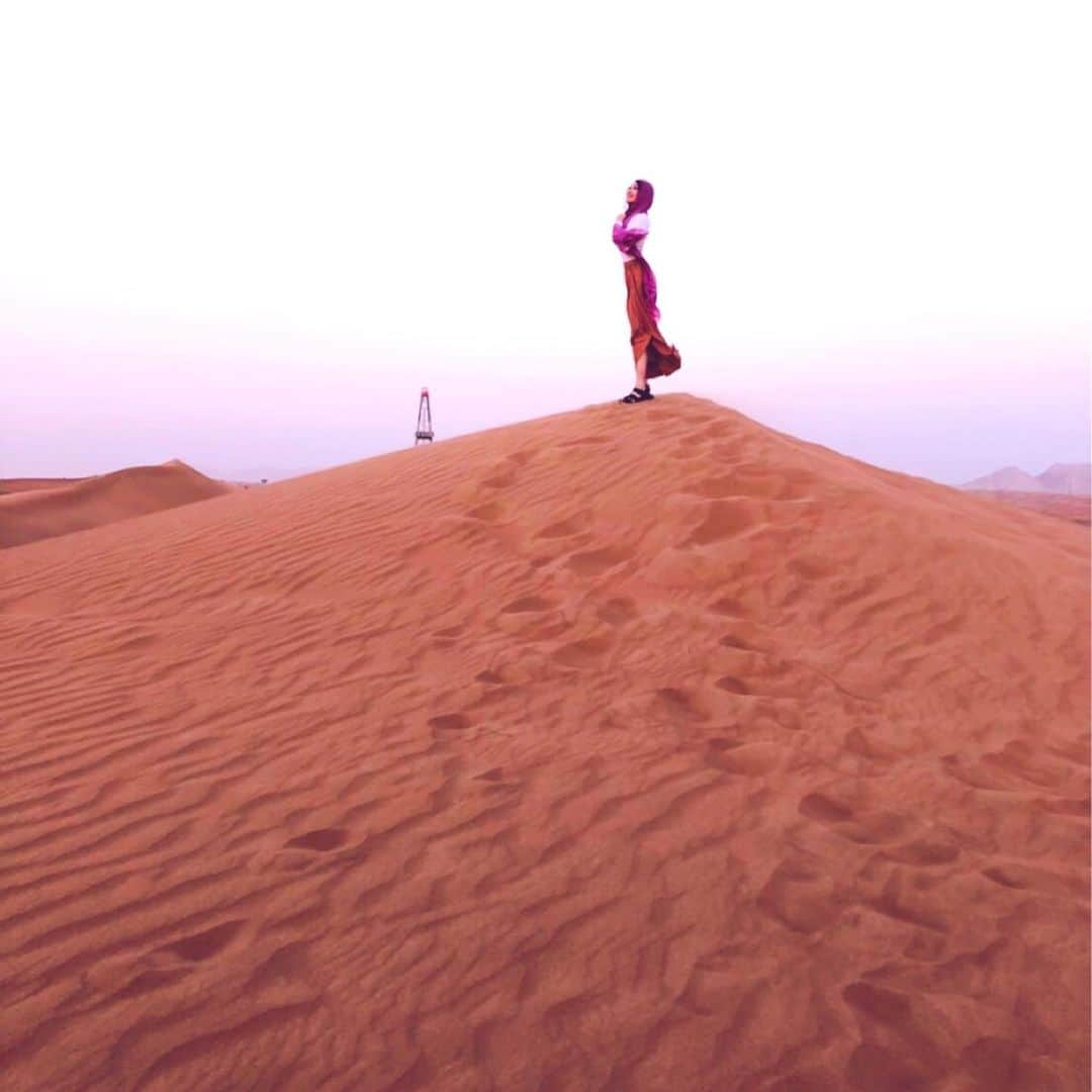 白井美帆さんのインスタグラム写真 - (白井美帆Instagram)「サファリ＊＊ #砂漠でバーベキュー #dubai  #camel」11月9日 14時58分 - shirai_miho77