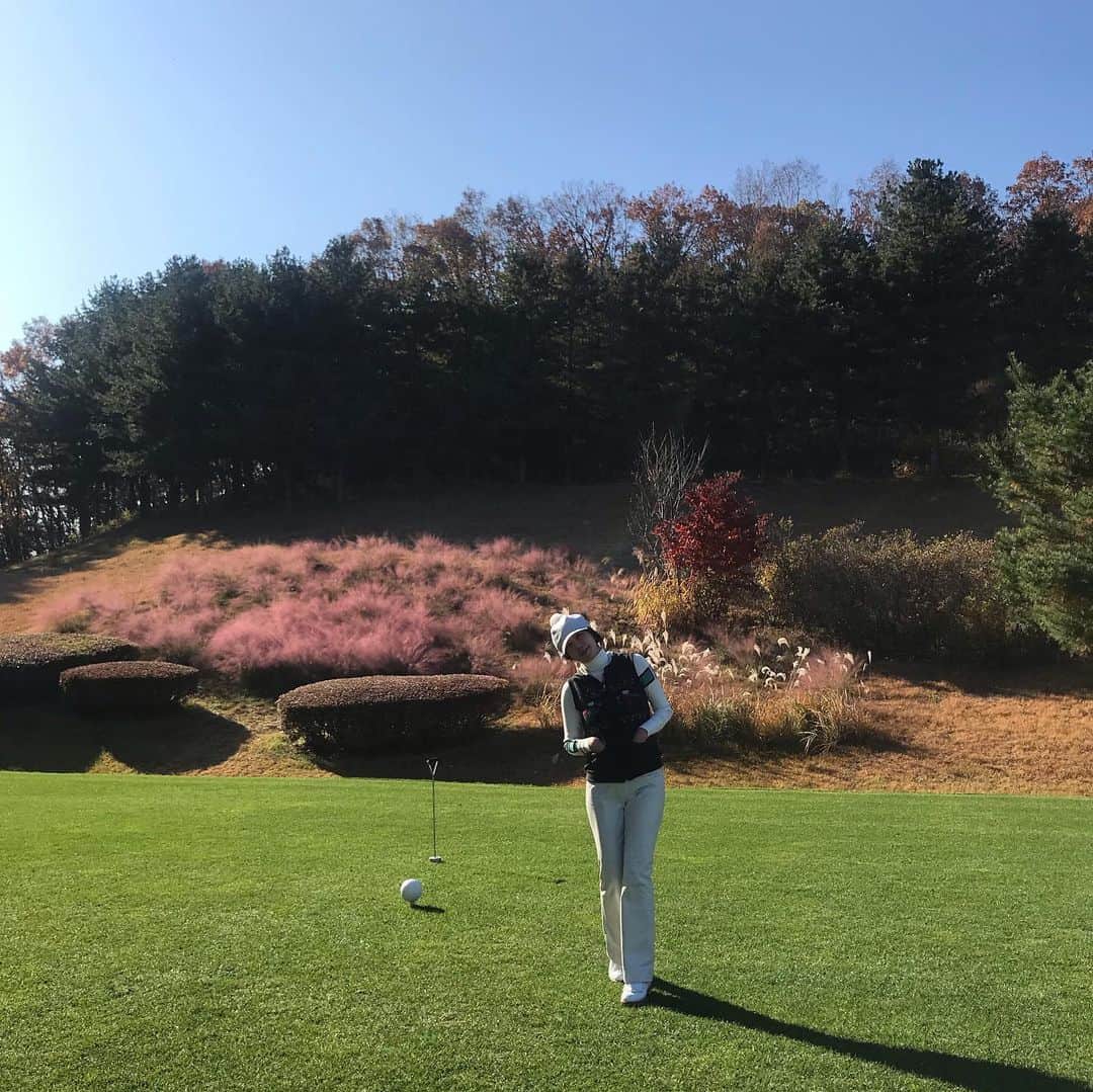 キム・ジョンウンさんのインスタグラム写真 - (キム・ジョンウンInstagram)「너무 예쁜꽃 발견했는데..혹시 아세요?#핑크뮬리#갈대과인듯한데...꼭 핑크솜사탕같아🥰😘😋」11月9日 15時16分 - chocolatecat9