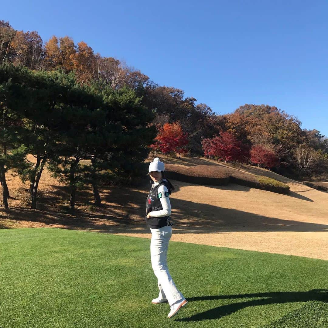 キム・ジョンウンさんのインスタグラム写真 - (キム・ジョンウンInstagram)「너무 예쁜꽃 발견했는데..혹시 아세요?#핑크뮬리#갈대과인듯한데...꼭 핑크솜사탕같아🥰😘😋」11月9日 15時16分 - chocolatecat9