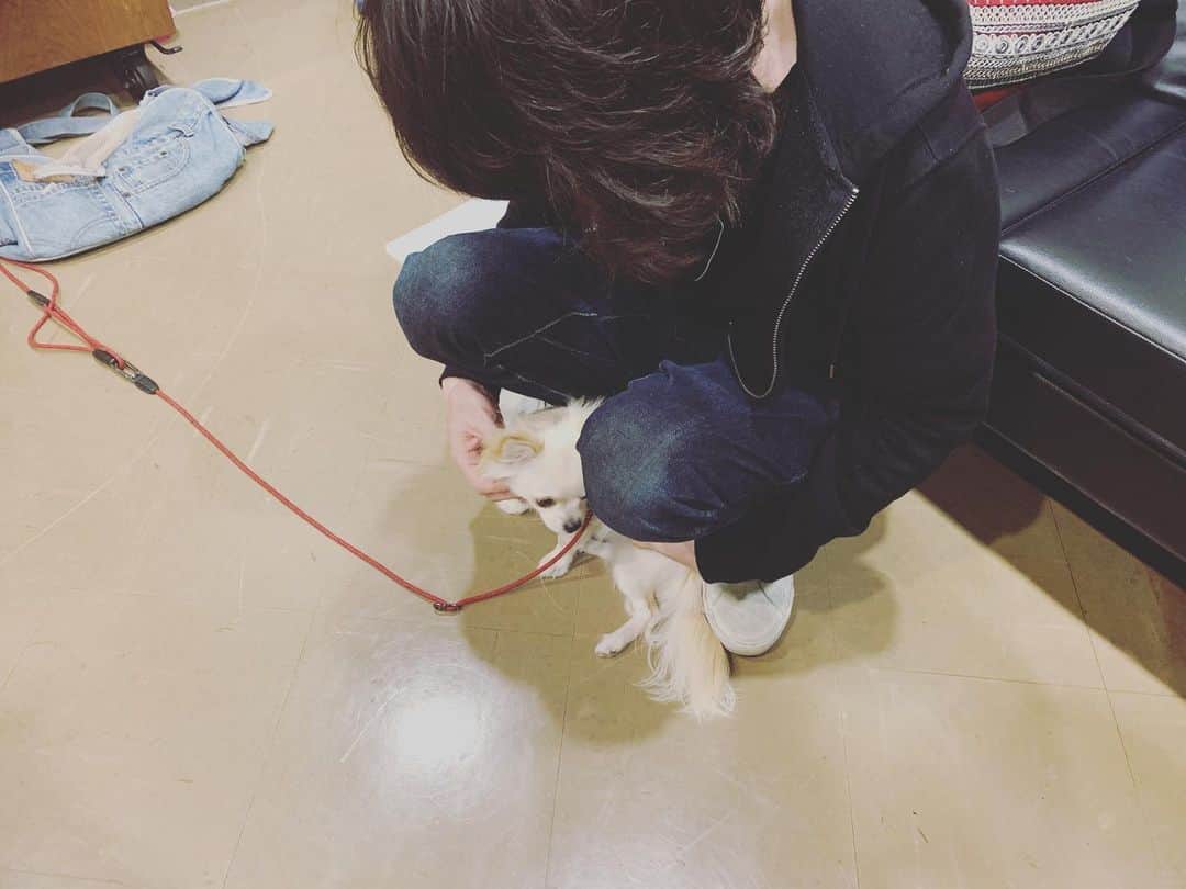 清春さんのインスタグラム写真 - (清春Instagram)「よしつぐさんと犬  #zepp #ミオヤマザキ #清春」11月9日 15時26分 - kiyoharu_official