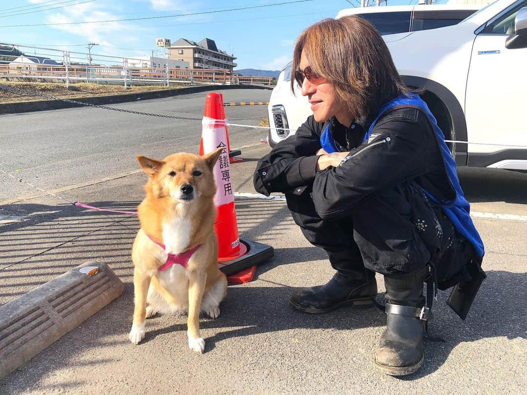 SUGIZOさんのインスタグラム写真 - (SUGIZOInstagram)「いわき市はもちろん、各被災地が切実に助けを必要としている。 そんな中、千葉と長野にボランティアが集中している。何故か。 報道のぶ厚さと同時に、その両県はWEBによる情報が非常にわかりやすく作られているのは一因かもしれない。 困難な状況なのは重々承知の上だけど、各県の自治体及び社協は千葉と長野の発信力を見習ってみるのはどうだろうか。 ★福島県内災害ボランティアセンター設置状況 http://www.fukushimakenshakyo.or.jp/1000/1102.html ★岩手県内災害ボランティアセンター設置状況 http://www.ifc.jp/news/secretariat/entry-2635.html ★茨城県内災害ボランティアセンター設置状況 http://www.ibaraki-welfare.or.jp/災害情報/茨城県内の災害ボランティアセンターについて/ ★栃木県内災害ボランティアセンター設置状況 http://www.pref.tochigi.lg.jp/c01/life/npo/saibaora.html ★宮城県内災害ボランティアセンター設置状況 https://svc.miyagi.jp/index.php?eid=20874 ★せたがや災害ボランティアセンター情報状況 http://www.saigai.otagaisama.or.jp ★千葉県内災害ボランティアセンター設置状況 https://chiba.shienp.net ★長野県内災害ボランティアセンター設置状況 https://nagano.shienp.net」11月9日 15時40分 - sugizo_official