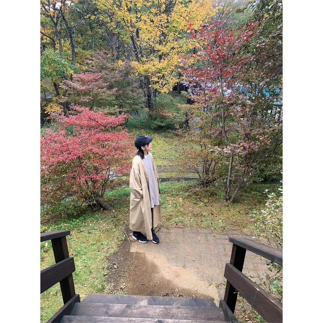 安本彩花さんのインスタグラム写真 - (安本彩花Instagram)11月9日 15時56分 - yasumoto_ayaka_official