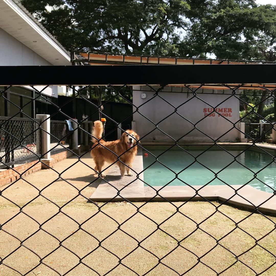 Hoykong&Plamuekのインスタグラム：「Happy Saturday☺️」