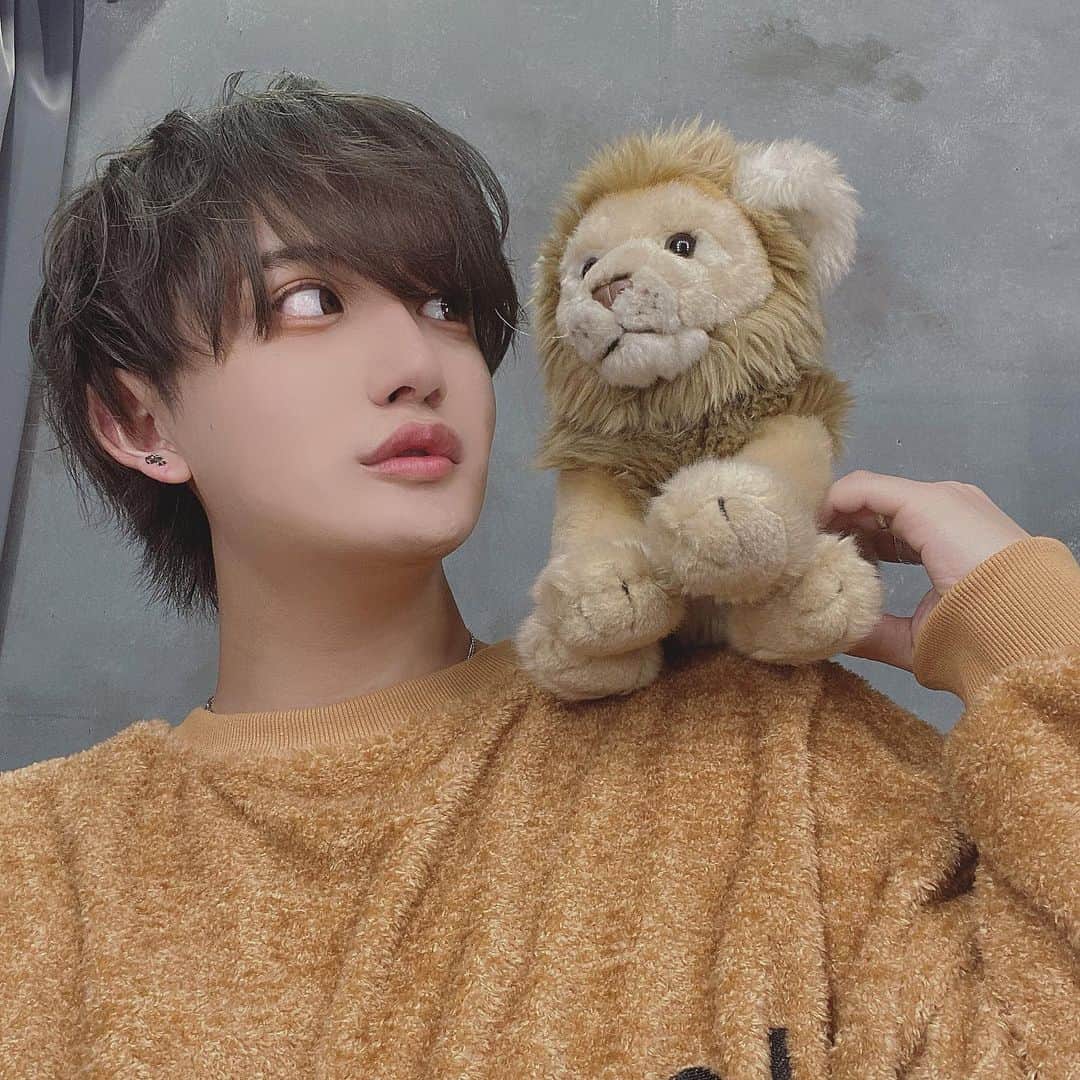 やっぴのインスタグラム：「🦁」