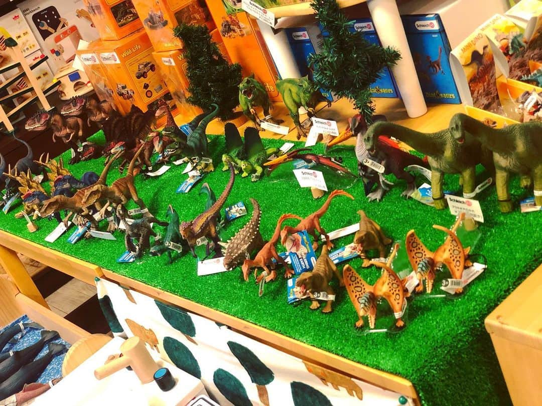 kidzoo+のインスタグラム：「恐竜が地球を支配していた時代  小型ですばやい、大型で力強い、巨大で翼を持つ・・・いろいろな形や大きさの恐竜が勢揃い。ティラノサウルス、ケントロサウルス、そして小型の肉食恐竜まで、原始の時代に生きたさまざまな巨人たちに出会えます。この生き物たちを見れば勇敢な探検家でさえ舌を巻くはず。危険なのは肉食恐竜だけではありません。火山はいまにも噴火しそう。骸骨のワナも仕掛けられています。どうやらべロキラプトルが獲物を捕らえたようです。でも逃げられないように気をつけないと！  ただいまschleichの恐竜たちが勢揃いしています。  恐竜たちも店頭で皆様のお越しをお待ちしています。 ----------------------------------- 商品の詳細はプロフィールのURLからご覧いただけます！ ☛ @kidzooplus  #シュライヒ #schleich #kidzooplus #インテリア  #フィギュア #知育玩具 #恐竜 #kids #名古屋市名東区 #名古屋 #贈り物 #プレゼント #ギフト #クリスマスプレゼント #もうすぐクリスマス #コレクション #コレクター #恐竜時代 #子供」