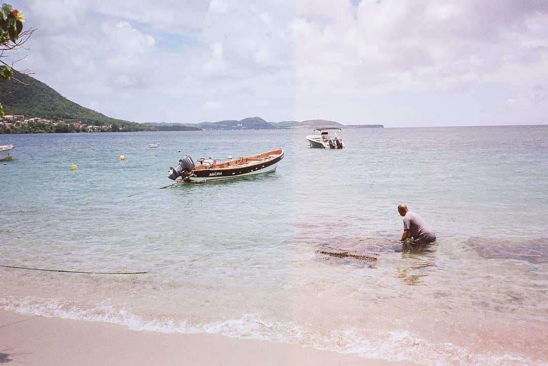 シグリッド・アグレンさんのインスタグラム写真 - (シグリッド・アグレンInstagram)「Love an unexpected exposure..the magic of film ✨✨✨ Sainte Luce, Martinique #martinique #film #photography #yashikat4」11月10日 2時46分 - sigridagren