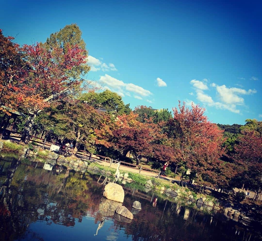 上坂嵩さんのインスタグラム写真 - (上坂嵩Instagram)「友人と #京都散歩 🍁  #京都 #メーテレ #上坂嵩」11月9日 19時25分 - takashi_uesaka_nbn