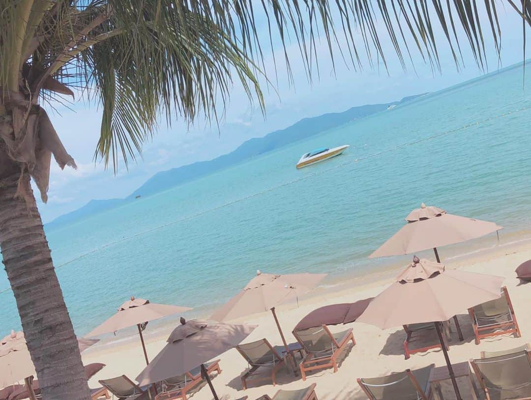 横野すみれさんのインスタグラム写真 - (横野すみれInstagram)「🌈Koh Samui🍹﻿ ﻿ ﻿ タイ🇹🇭のサムイ島🏝﻿ ﻿ もう3回行ってるのでちょこっとサムイ通☺️﻿ ﻿ ﻿ サムイは日本の夏と同じぐらい暑くて、海がとっても綺麗です🐚﻿ ﻿ ﻿ 私のお気に入りのタイグルメは、﻿イカのチャーハンと、スイカジュース🍉﻿ ﻿ タイのスイカって何でこんなに甘くて美味しいのだろう💭😌﻿ ﻿ また行きタイ🇹🇭﻿ ﻿ ﻿ そんな素敵なサムイ島で撮影した「GiRLS PEDIA 2019 Autumn」は11/30(土)発売です😉﻿ ﻿ #GiRLSPEDIA #タイ #Thailand #タイ旅行 #タイ料理 #kohsamui #paradaise #instalove #blue﻿」11月9日 19時29分 - yokono_sumire