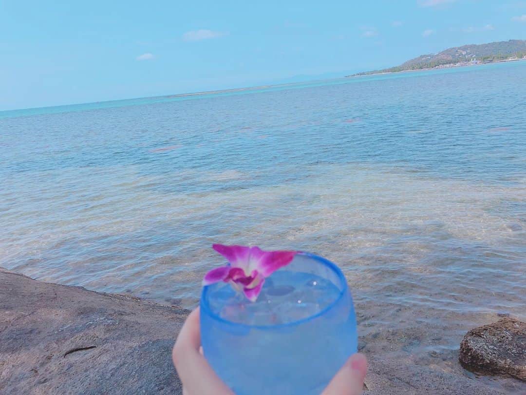 横野すみれさんのインスタグラム写真 - (横野すみれInstagram)「🌈Koh Samui🍹﻿ ﻿ ﻿ タイ🇹🇭のサムイ島🏝﻿ ﻿ もう3回行ってるのでちょこっとサムイ通☺️﻿ ﻿ ﻿ サムイは日本の夏と同じぐらい暑くて、海がとっても綺麗です🐚﻿ ﻿ ﻿ 私のお気に入りのタイグルメは、﻿イカのチャーハンと、スイカジュース🍉﻿ ﻿ タイのスイカって何でこんなに甘くて美味しいのだろう💭😌﻿ ﻿ また行きタイ🇹🇭﻿ ﻿ ﻿ そんな素敵なサムイ島で撮影した「GiRLS PEDIA 2019 Autumn」は11/30(土)発売です😉﻿ ﻿ #GiRLSPEDIA #タイ #Thailand #タイ旅行 #タイ料理 #kohsamui #paradaise #instalove #blue﻿」11月9日 19時29分 - yokono_sumire