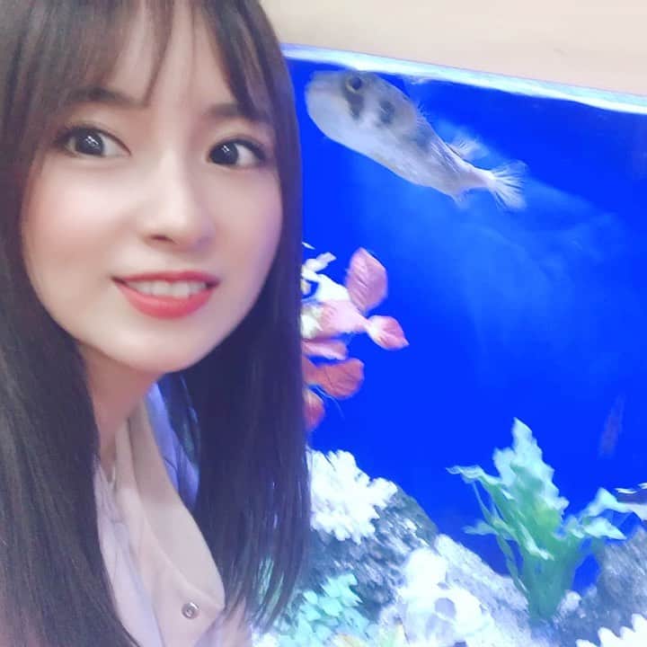 ぽこのインスタグラム：「今日の新潟ありがとう☺️ この子は近づいて来て凄く可愛かった❤️ 多分ハリセンボンだと思うんだけど、名前見るの忘れた('ω') #ハリセンボン #ミッドガーデン新発田」