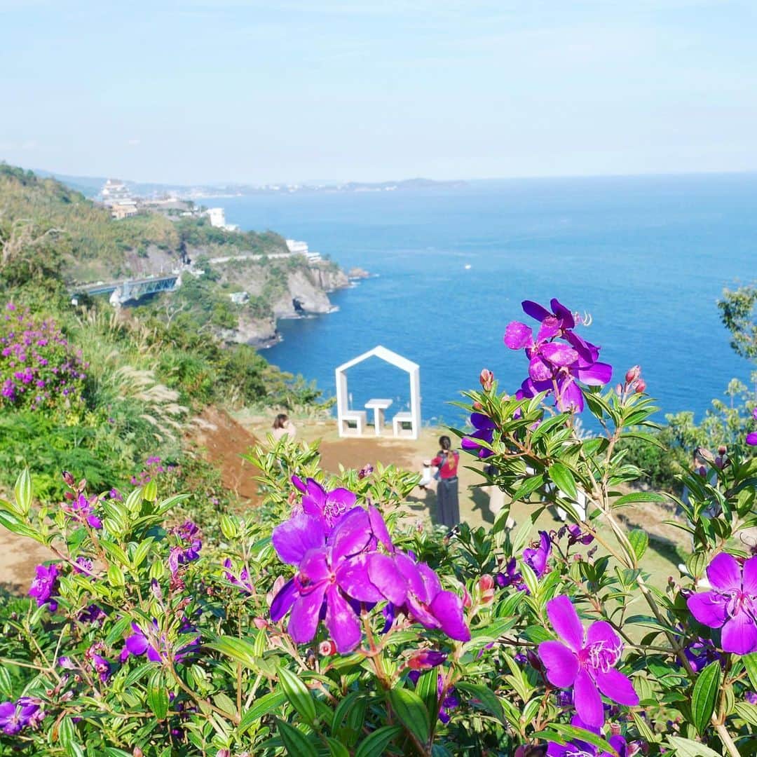 のインスタグラム：「* じゃらんさんの撮影で熱海へ☀️🏖☺️ お花越しの私の世界🌺 じゃっらーんじゃっらーん♬って歌ったら リクルート ってすかさず言うてくれる方が好き📺笑」