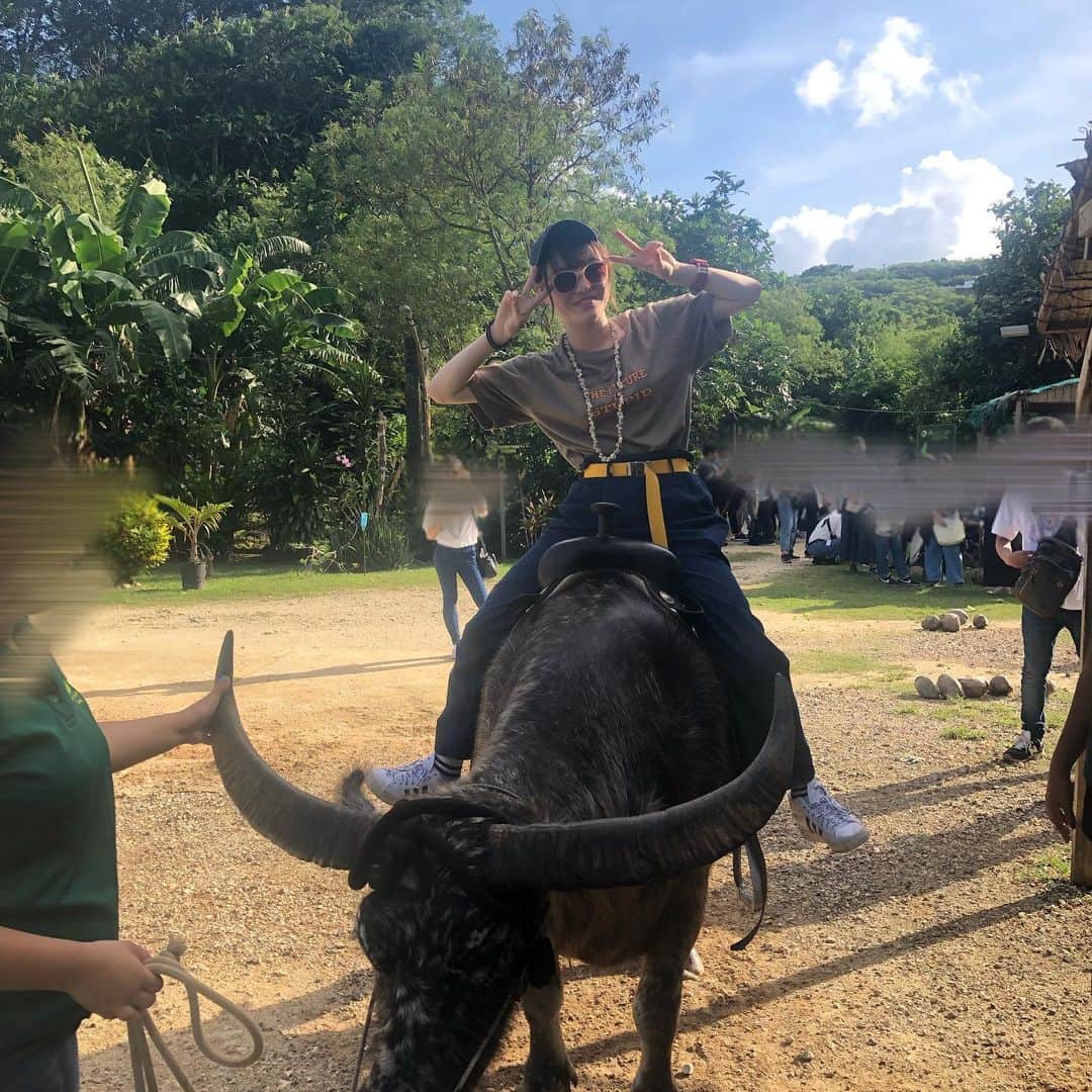 平瀬美里のインスタグラム：「水牛\みずうし！！/﻿ rideした🥥」