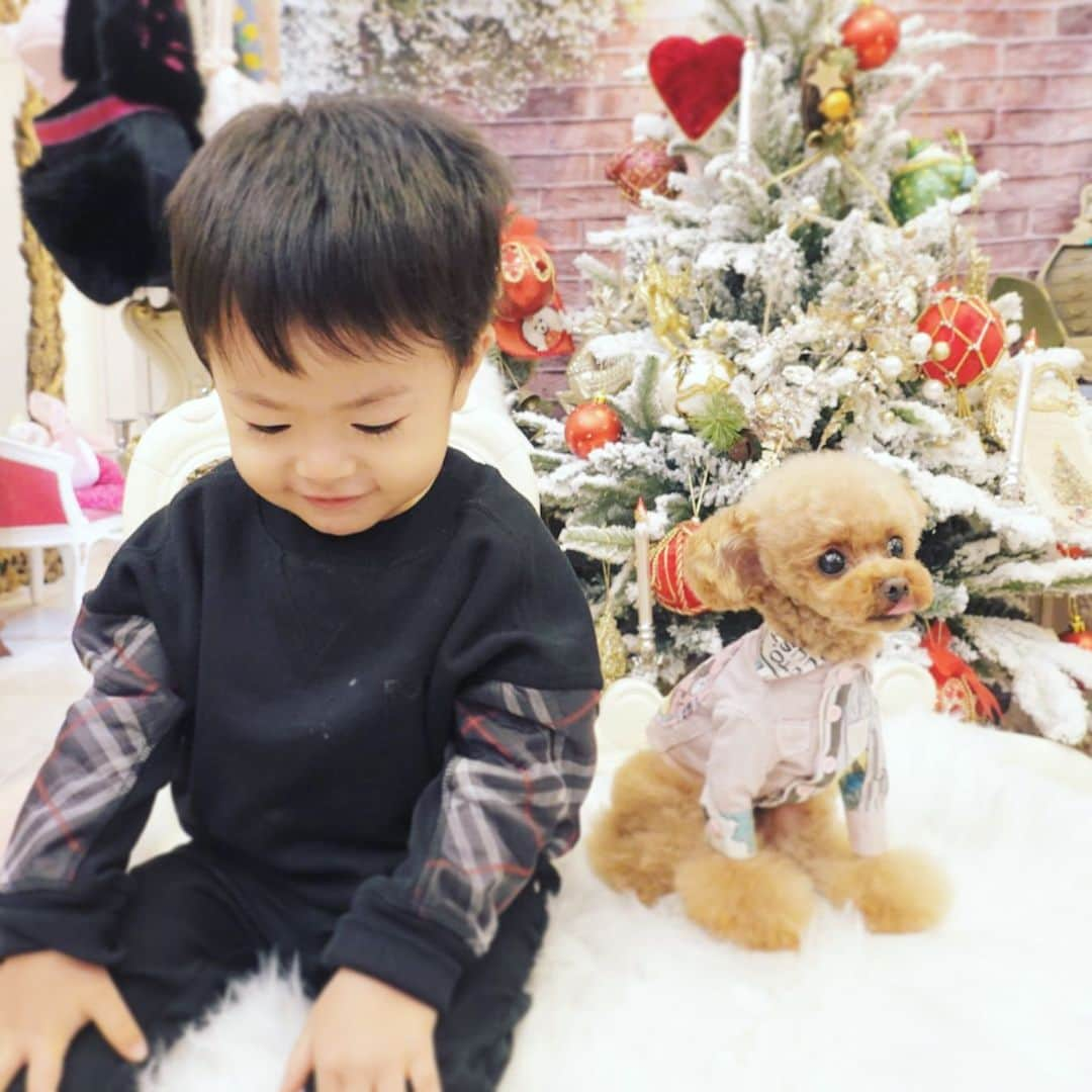 ? Tia ?さんのインスタグラム写真 - (? Tia ?Instagram)「shopping🧸‼️‼️ … … #toypoodle #toypoodlered #toypoodlegram #toypoodlelove #minipoodle #littlepoodle #redpoodle #instadog #adorable #cutest #cutiepie #socute #ilovemydog #トイプードル #littlebear #instapoodle #ティーカッププードル #teacuppoodle #puppilyhills #パピリーヒルズ #littleprincess #instatoypoodle #babyanddog #コドモノ #ベビフル #ig_kidsjapan #ig_kids #forpetsonly #mickeymouse #petaportre」11月9日 23時24分 - tia1101