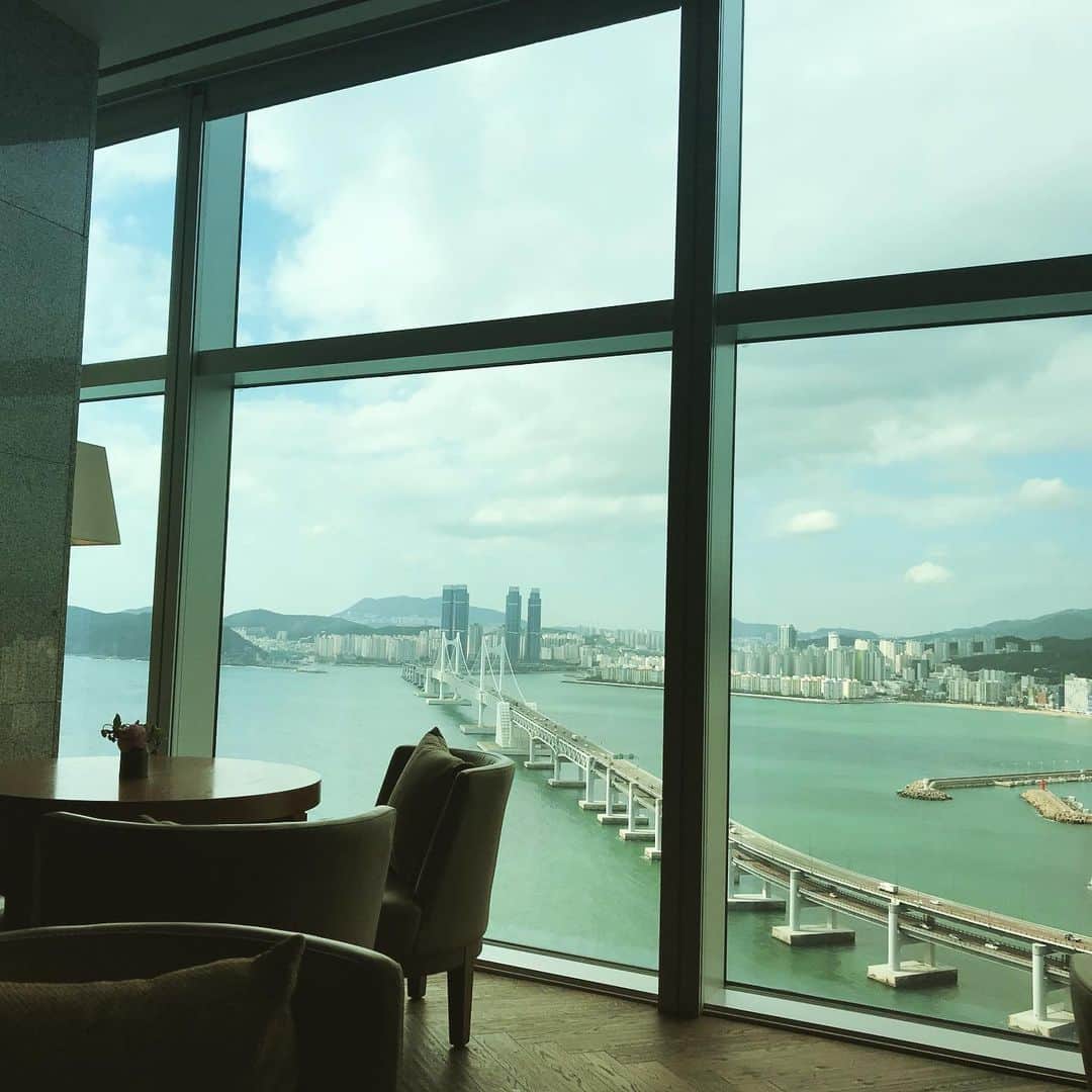 大西蘭さんのインスタグラム写真 - (大西蘭Instagram)「・ 今回釜山で宿泊したホテルの部屋からの景色が最高でした✨ ・ こぐまちゃんはこの景色を見ながら優雅にお昼寝🐻 ・ 朝食は、韓国料理もあって、種類も多くて美味しかった😋 ・ また泊まりたい😍 ・ ・ #釜山旅行 #釜山ホテル #釜山女子旅 #韓国旅行 #parkhyattbusan」11月10日 0時09分 - onishiran