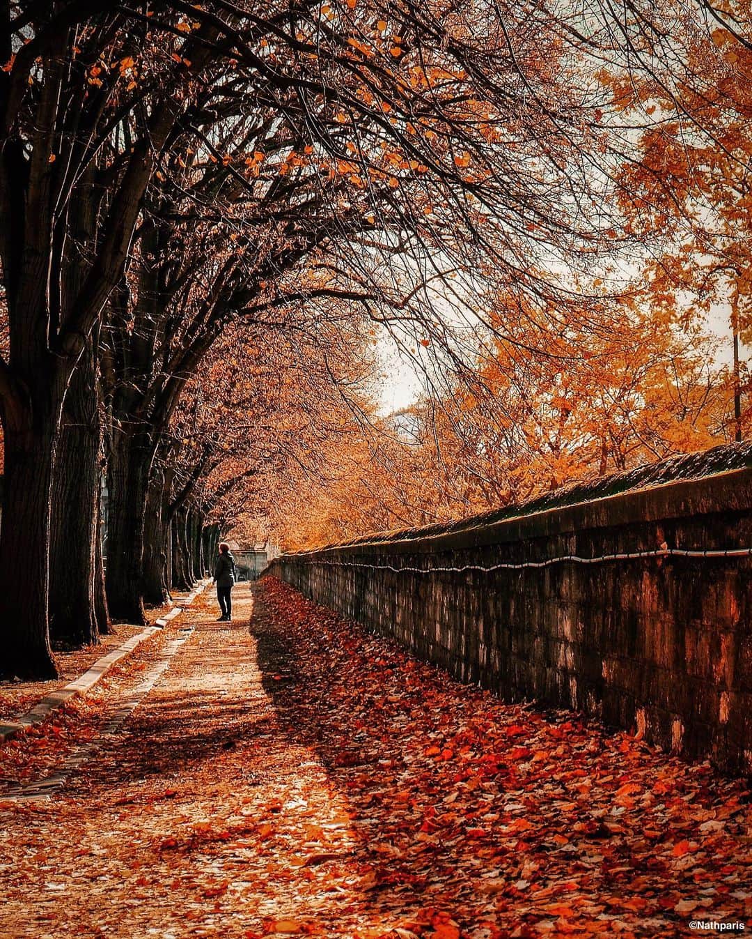 nathparisのインスタグラム：「Autumn 🍁🍂 #paris」