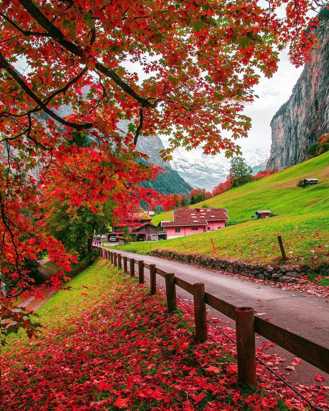 Hatice Korkmaz The Color Queenさんのインスタグラム写真 - (Hatice Korkmaz The Color QueenInstagram)「Autumn never ends😆❤️🍁🍂 happy weekend😃🎶🍹@lauterbrunnen @jungfraujochtopofeurope #lauterbrunnen #switzerland #fall #autumn #colors #love #nature」11月10日 0時54分 - kardinalmelon