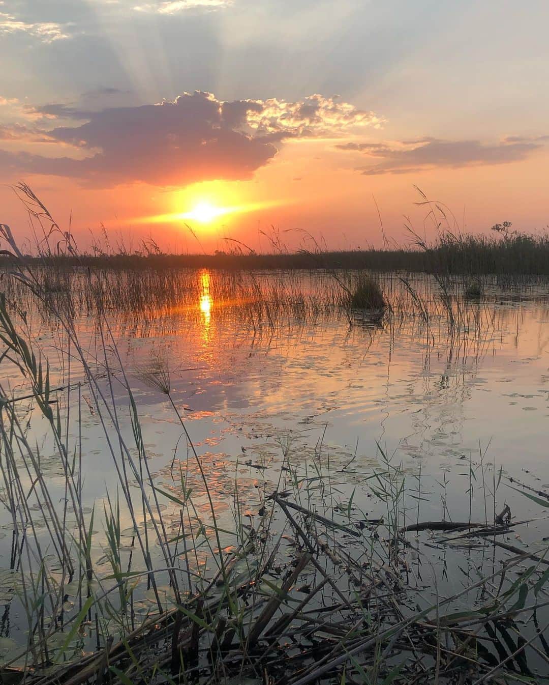 マリア・シャラポワさんのインスタグラム写真 - (マリア・シャラポワInstagram)「The sunrise and sunset of Okavango Delta, Vumbura Plains 🇧🇼. The not so casual 5am wake up calls are not that bad when you start your day with this view from our lodge and finish it off with a boat cruise on the water bank. 🦒🦓」11月10日 2時01分 - mariasharapova