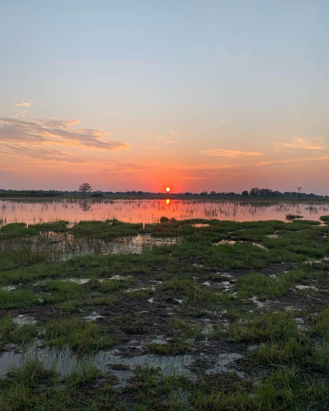 マリア・シャラポワさんのインスタグラム写真 - (マリア・シャラポワInstagram)「The sunrise and sunset of Okavango Delta, Vumbura Plains 🇧🇼. The not so casual 5am wake up calls are not that bad when you start your day with this view from our lodge and finish it off with a boat cruise on the water bank. 🦒🦓」11月10日 2時01分 - mariasharapova