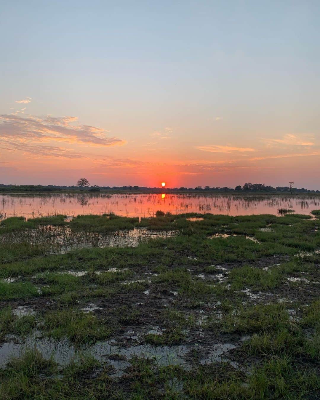 マリア・シャラポワのインスタグラム：「The sunrise and sunset of Okavango Delta, Vumbura Plains 🇧🇼. The not so casual 5am wake up calls are not that bad when you start your day with this view from our lodge and finish it off with a boat cruise on the water bank. 🦒🦓」