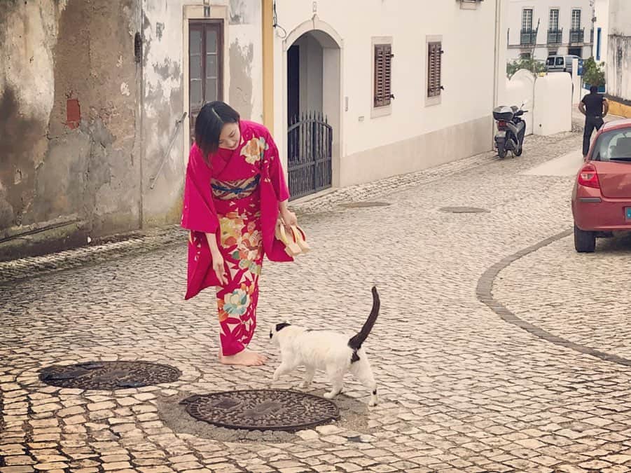 今村沙緒里のインスタグラム：「ポルトガル日記🇵🇹 動物がワイルド。 でも、甘えんぼう☺︎ ・ Animals are wild, but cuute in Portugal❤︎ ・ #portugal #torresvedras #cat #horse #dog #ポルトガル #野生 #でも寄ってきてくれてかわいい」