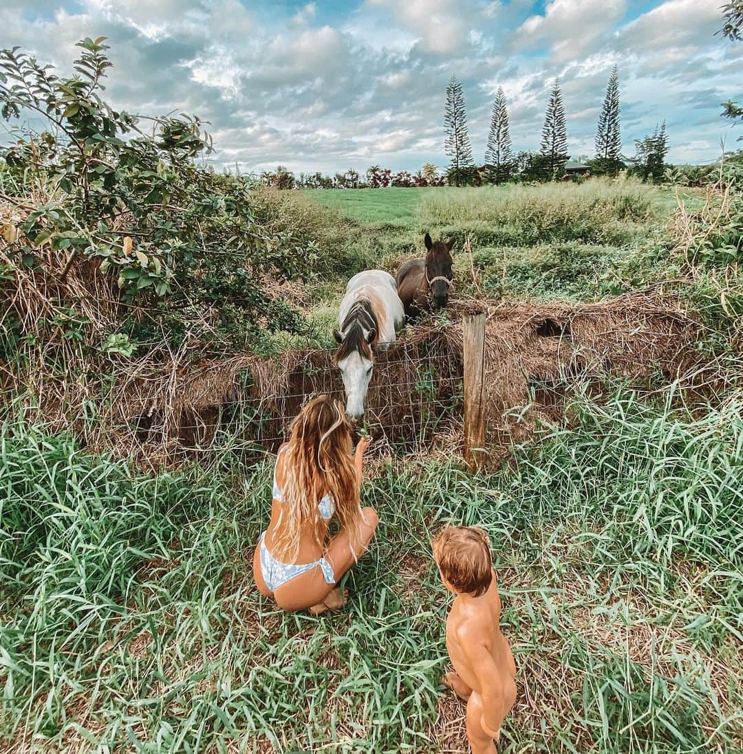 アラナ・ブランチャードさんのインスタグラム写真 - (アラナ・ブランチャードInstagram)「Nature boy. So cool to see how Banks loves all animals🌱🌎」11月10日 4時55分 - alanarblanchard