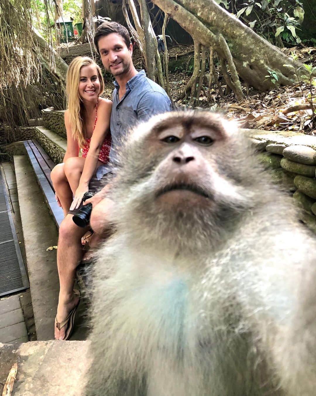 のインスタグラム：「Yup just a casual selfie with a Balinese monkey. 🐒🙊 #Bali #monkeyforest」