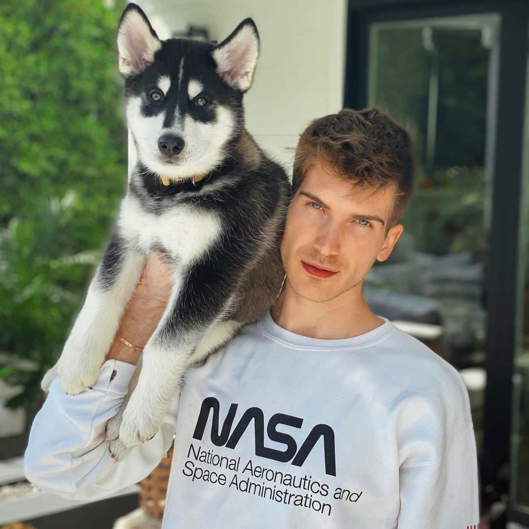 ジョーイ・グレーセッファのインスタグラム：「BLAST OFF! 🚀 My sweet yellow boy has found his forever home and I miss him already. 💛」