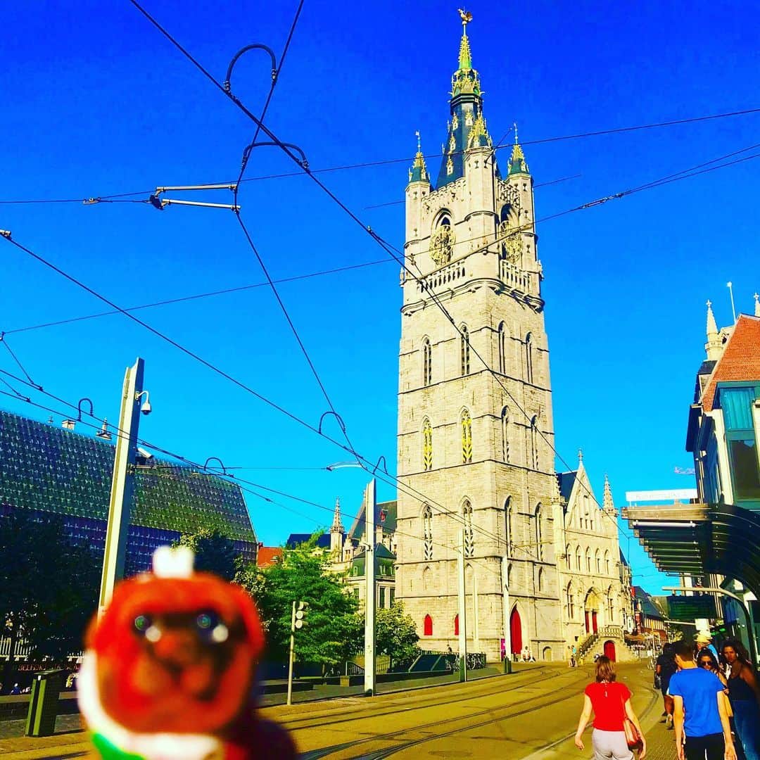 ころさんのインスタグラム写真 - (ころInstagram)「ころツーリスト in #ベルギー (#ヘント ) .  おはようございますッ❗️ . 人気スポットのグラスレイの横にある聖ミヒエル橋からの眺めです😁 . 橋の上からは、鐘楼、聖バーフ大聖堂、聖ニコラス大聖堂の3つが同時に見られる場所としても人気です😊 . 教会はザッヨーロッパを感じられるので、キリスト教とか興味無くても見る価値は有ると思います😁 .  ころの他の写真を見たい方はこちらから！  @koro.dottokoi .  #ころツーリスト #旅 #旅日記 #旅スタグラム #旅すたぐらむ #トラベラー #旅に出たい #旅の記録 #旅好き #旅写真 #旅行好き #旅したくなるフォト #旅フォト #マイトリ #旅行大好き #わんこ #ぬいぐるみ #ぬいどり #ぬい撮り写真部 #マイトリップ #旅の思い出 #旅の思い出 #ぬい撮り #ぬい撮りさんと繋がりたい #ぬいすたぐらむ」11月10日 8時17分 - koro.dottokoi