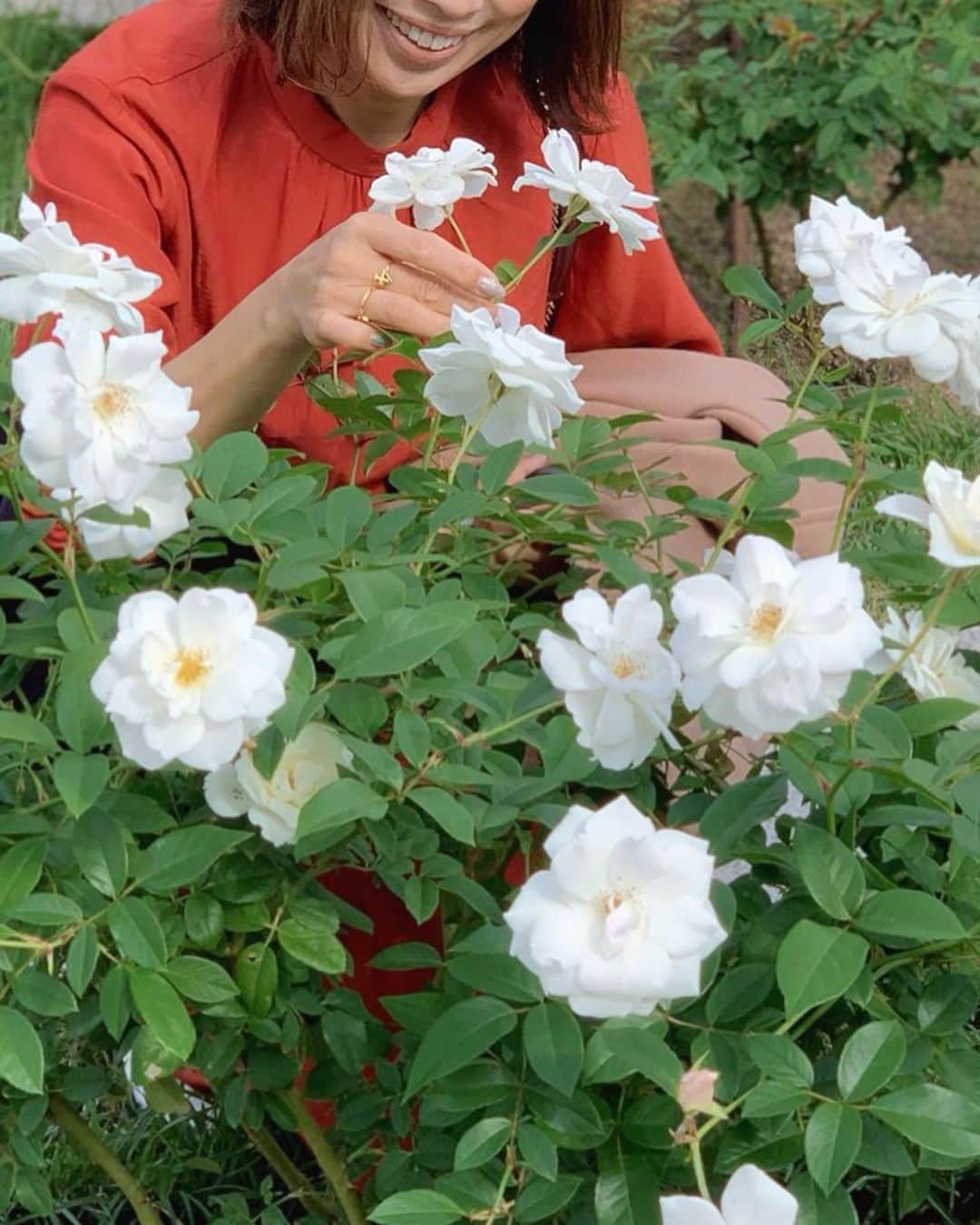 宮田綾子さんのインスタグラム写真 - (宮田綾子Instagram)「ハイヒールLOVERS Ayako⁑  秋薔薇を見に中之島バラ園に行ってきたよ🌹 春ほどは咲いてなかったー🤣 私がバラみたいでしょ、なんつって、笑  鮮やかなオレンジのワンピはオンワード樫山の新ブランド ユーティリズム @utilism_official  ワンピースメインのブランドだよ👗Instagramスタート企画に参加させていただきました♪ ネイビーの可愛いバッグはヴィオラドーロのスエード素材でカジュアルになりすぎない大人トートバッグ @violadoro_official  コンパクトなのにたくさん入って嬉しい💕  #onepiece #utilism  #bag #violadoro  #sneakers #katespade  ___________________★ ___________________﻿﻿﻿﻿ 11/17(日)銀座三越 4階 POPUPショップ lemonplet by CHOYO 13〜14時店頭にいます、来てね！ ___________________★ __________________ #ユーティリズム #ヴィオラドーロ #pr #ハイヒールLOVERS #宮田綾子 #大人コーデ #大人カジュアル #きれいめコーデ #きれいめカジュアル #休日コーデ #中之島 #中之島バラ園 #中之島カフェ #中之島公園 #バラ園 #バラ #薔薇 #rose #flowers #花好き #スニーカーコーデ #スニーカー女子」11月10日 8時26分 - ayako__miyata