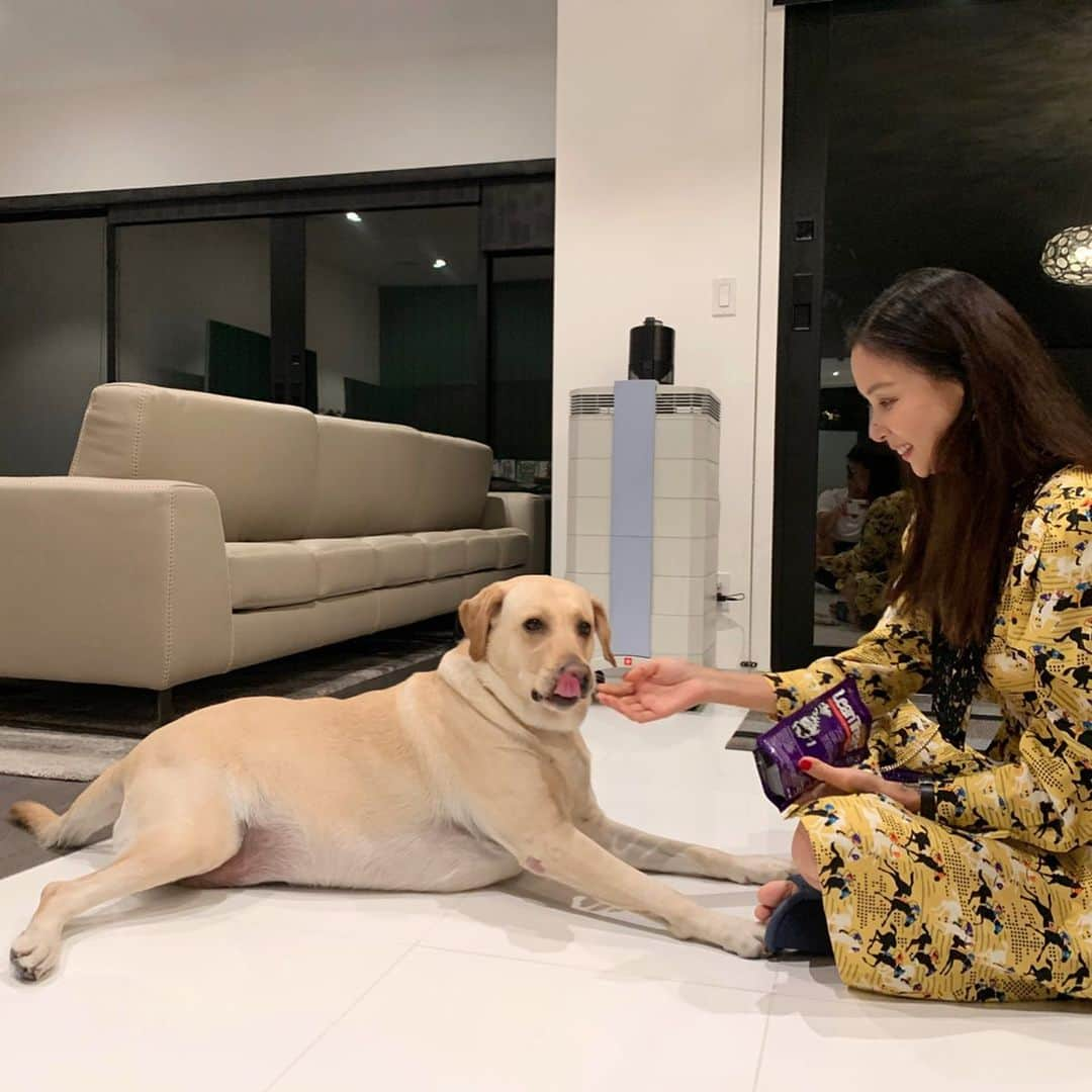 コ・ソヨンさんのインスタグラム写真 - (コ・ソヨンInstagram)「샤넬이랑🐕Chanel★」11月10日 8時45分 - kosoyoung_official