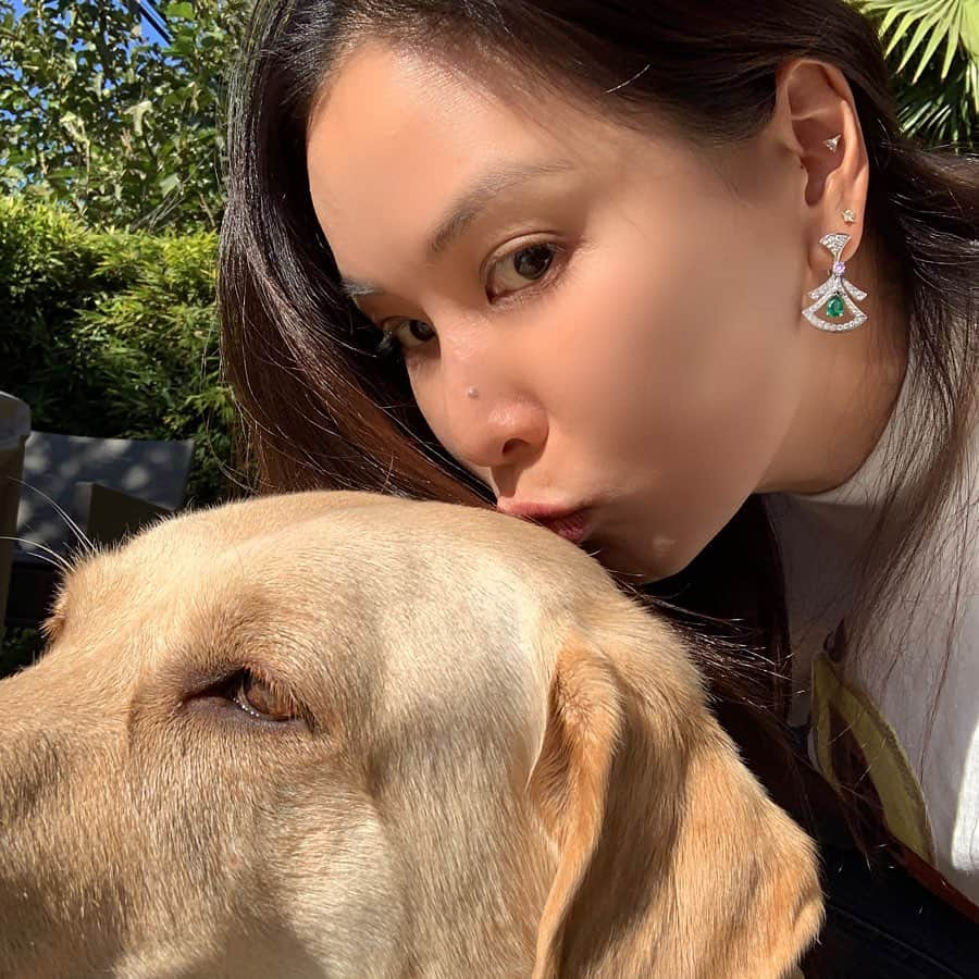 コ・ソヨンさんのインスタグラム写真 - (コ・ソヨンInstagram)「샤넬이랑🐕Chanel★」11月10日 8時45分 - kosoyoung_official