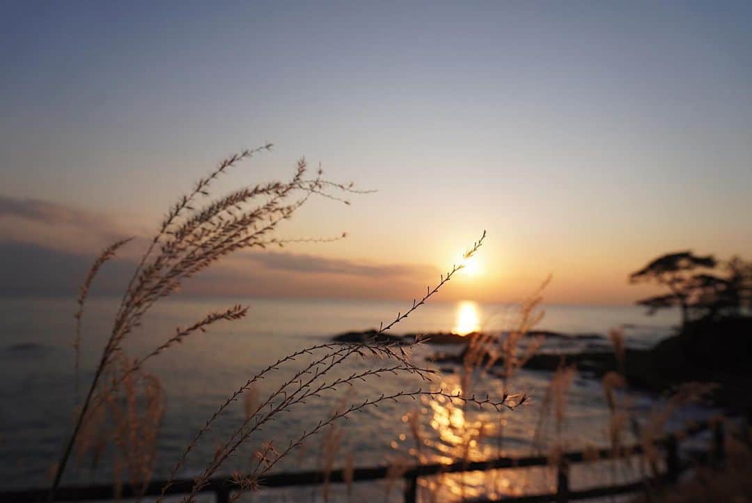 izu（出岡美咲）さんのインスタグラム写真 - (izu（出岡美咲）Instagram)「美しいものに触れると﻿ 自分にとって本当に必要なものは何か　考えずともストンと感じられる。﻿ ﻿  最近海に行きたくて行きたくて　仕方が無かった理由は﻿ きっとそう言う理由だった。 ﻿ #葉山 #sunset #夕陽 #海　#hayama」11月10日 10時59分 - izu_stagram