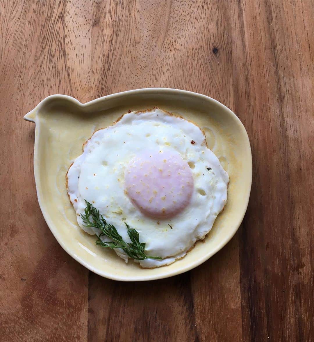 小橋めぐみのインスタグラム：「母の遊びごころ。 よき日曜日を！ #益子陶器市  #庄司千晶」