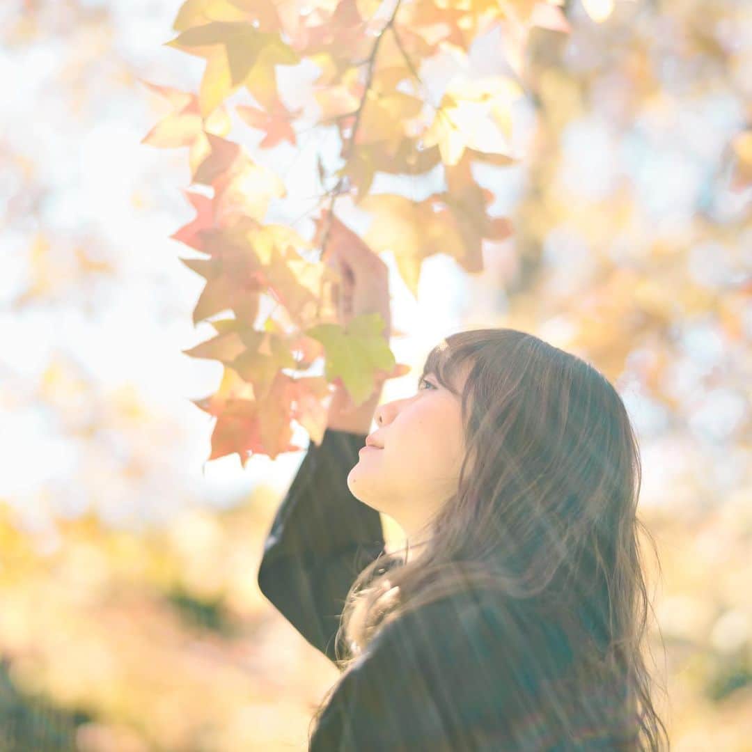 Kobe Japan Water artのインスタグラム：「"Natural curtain" . 紅葉のカーテン.」