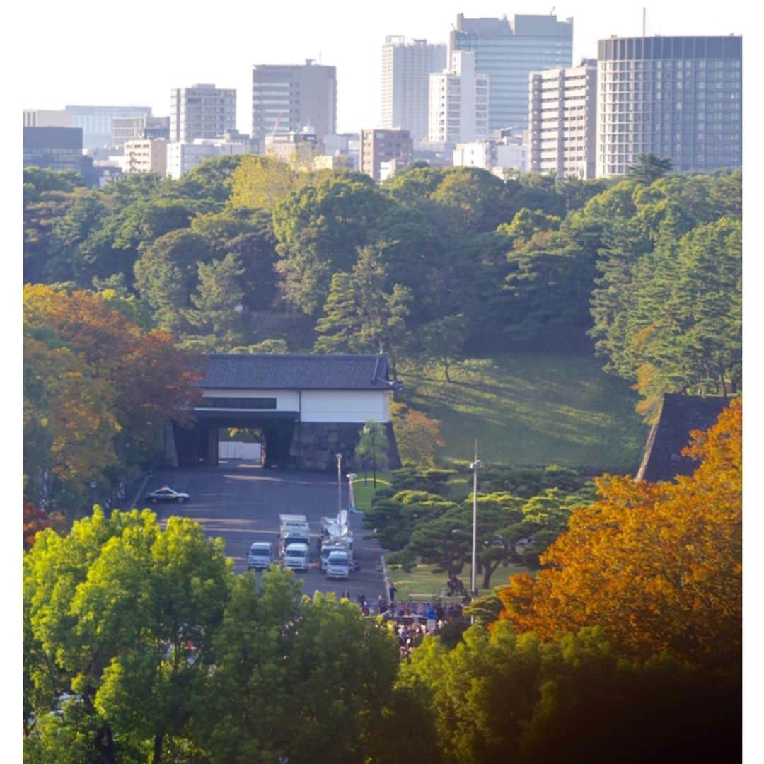 eclat.magazineさんのインスタグラム写真 - (eclat.magazineInstagram)「秋晴れの11月10日、東京。近距離撮影は恐れ多いので、午後のパレードは遠望することに。夜を迎えてからは東京タワーの照明がまた素敵でした。 今日のように穏やかな日が一日も多く、枝を鳴らさぬ御代となりますよう。 （編集B） #おめでとうございます #祝賀パレード #祝賀御列の儀 #センチュリー #東京 #tokyo #秋晴れ #令和 #reiwa #東京タワー #tokyotower #五色幔幕 #奉祝ライトアップ #🗼#紅葉」11月10日 21時37分 - eclat.magazine