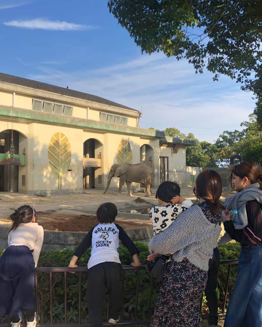 スザンヌさんのインスタグラム写真 - (スザンヌInstagram)「#熊本市動植物園 🐱🦁🐴🦛🐻🎡﻿ ひさびさ閉園間近まで、﻿ あそんだあそんだ💘﻿ ﻿ ほぼ、全部の動物見て回って﻿ （子どもたちいつの間にこんな足腰つよくなったんだろうなぁ、ほんとちょっと前までは疲れたら抱っこ抱っこで、ずーっと抱っこしてた気がするのに😭ありがたさみし🙏）﻿ ﻿ 乗り物も子どもたちだけで乗ったりしてて→これもほんとに成長💕﻿ ﻿ 帰りはさくっとキャサリンズバーのママご飯をみんなで頂いて﻿ （のさったのさった🤤）﻿ 横の桂花ラーメン🍜←今週のラーメン率w ﻿ もぺろっと食べて﻿ ﻿ 19時すぎにはお風呂も終わって﻿ 寝るだけの最高コンディションで﻿ 過ぎてった日曜日🌈﻿ ﻿ 大満足と大充実。﻿ お付き合いしてくれた友達と友達親子に感謝しかないよう🙏﻿ ありがとう！！﻿ 姪っ子は帰りたくないと泣いてまでくれた😂❤️ はぁかわいぃ。﻿ ﻿ わたしも体力戻ってきた気がするし💪←本調子ってやつ！笑﻿ ﻿ 明日からまた頑張ろっっ🌈」11月10日 22時07分 - suzanneeee1028