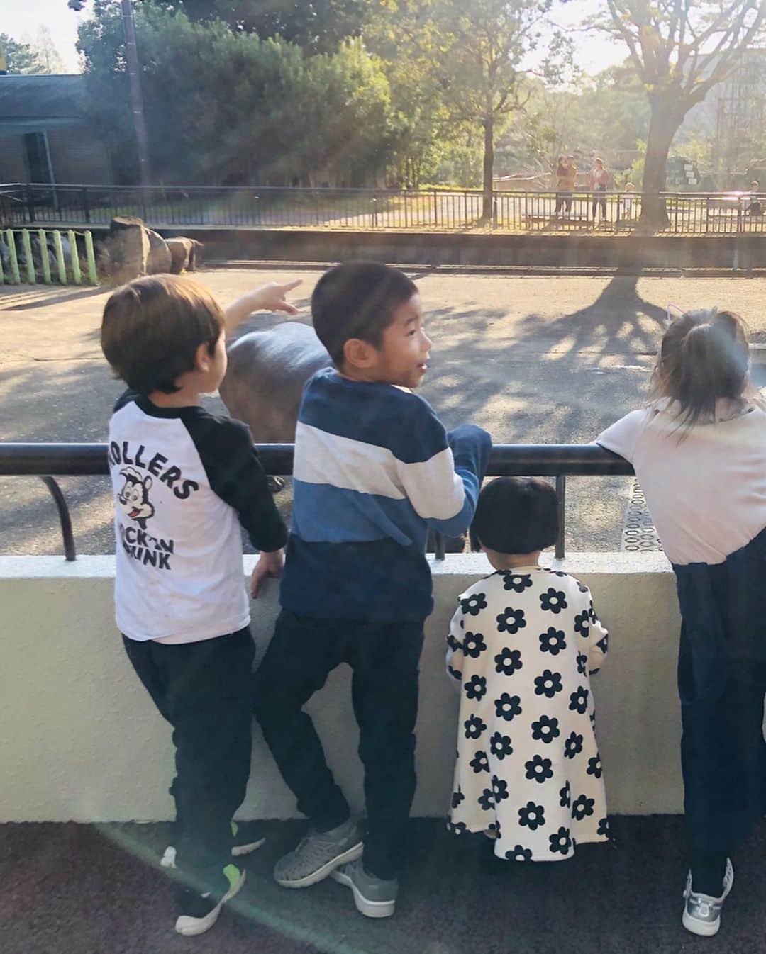 スザンヌさんのインスタグラム写真 - (スザンヌInstagram)「#熊本市動植物園 🐱🦁🐴🦛🐻🎡﻿ ひさびさ閉園間近まで、﻿ あそんだあそんだ💘﻿ ﻿ ほぼ、全部の動物見て回って﻿ （子どもたちいつの間にこんな足腰つよくなったんだろうなぁ、ほんとちょっと前までは疲れたら抱っこ抱っこで、ずーっと抱っこしてた気がするのに😭ありがたさみし🙏）﻿ ﻿ 乗り物も子どもたちだけで乗ったりしてて→これもほんとに成長💕﻿ ﻿ 帰りはさくっとキャサリンズバーのママご飯をみんなで頂いて﻿ （のさったのさった🤤）﻿ 横の桂花ラーメン🍜←今週のラーメン率w ﻿ もぺろっと食べて﻿ ﻿ 19時すぎにはお風呂も終わって﻿ 寝るだけの最高コンディションで﻿ 過ぎてった日曜日🌈﻿ ﻿ 大満足と大充実。﻿ お付き合いしてくれた友達と友達親子に感謝しかないよう🙏﻿ ありがとう！！﻿ 姪っ子は帰りたくないと泣いてまでくれた😂❤️ はぁかわいぃ。﻿ ﻿ わたしも体力戻ってきた気がするし💪←本調子ってやつ！笑﻿ ﻿ 明日からまた頑張ろっっ🌈」11月10日 22時07分 - suzanneeee1028