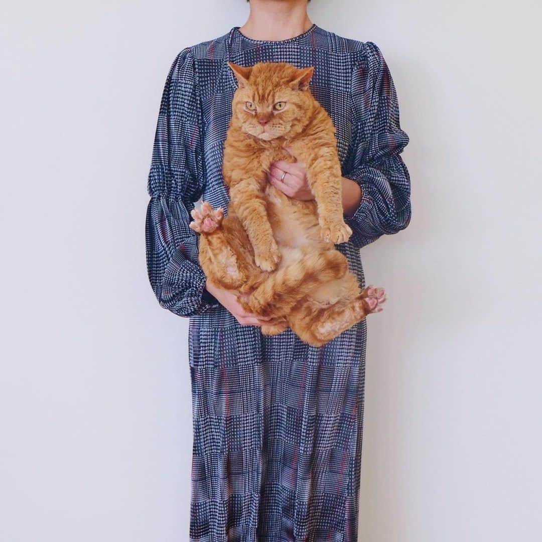 ギネス & ピムスさんのインスタグラム写真 - (ギネス & ピムスInstagram)「10/11/2019 Happy Sunday! ・ Sundays are for long cuddles with the 3 boys. “Who looks best next to mum's dress?” Enjoy the rest of your weekend! ・ ・ 久々に三兄弟の抱っこ写真。 袖のしぼりが鼻血レベルで気に入り 即買いでした。 しかも @zara なのでお買い得だった！ 一年中ロングワンピ着てるけど 秋ワンピはなんか特に好きだなあ。 ・ お問い合わせいただいておりました ギネピム生地とピムス生地ですが @_sakuralabel_ さんで引き続き 販売スタートする事になりました！ 既に販売中のギネス生地と合わせて 3タイプご用意しています。 もしよろしければ是非✂︎ 今日のストーリーにリンク載せてます。 もしくは @_sakuralabel_ さんの HPからご覧いただけますと幸いです。 それでは引き続き素敵な週末を♬ ・ ・ #ギネスくん #ピムスくん #ギネピムと凪くん  #RINAGUINNESS #RINAPIMMS #11monthsold #生後11ヶ月 #babyboy #男の子ベビー #赤ちゃんのいる生活 #赤ちゃんのいる暮らし #赤ちゃんと猫 #猫と赤ちゃん #ベビー服 #zara」11月10日 22時30分 - rina_takei