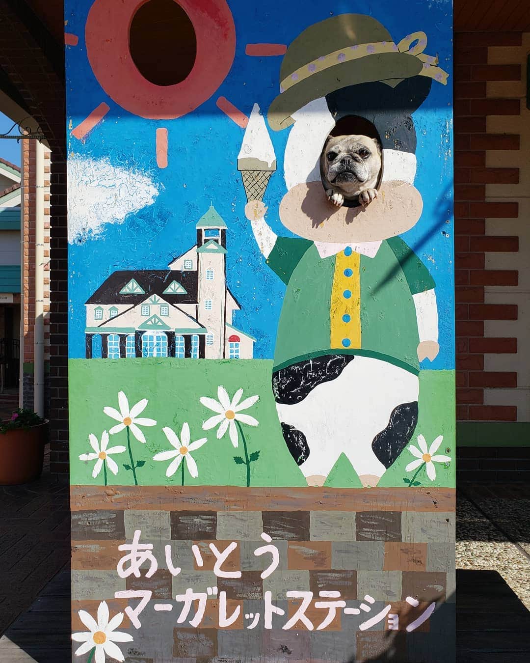 tamiのグルメインスタ