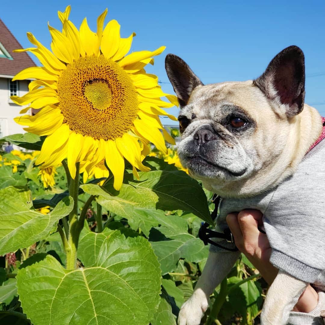 tamiのグルメインスタ